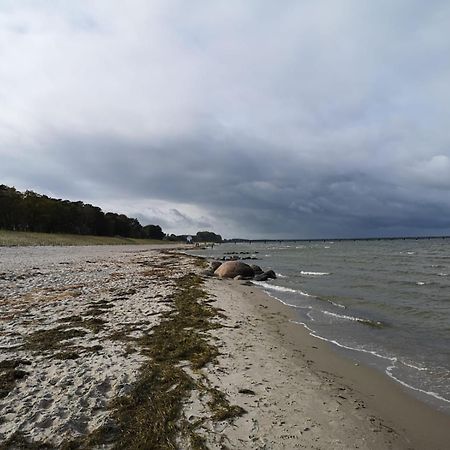 Ferienwohnungen "Weitblick" Und "Schwalbennest" Lodmannshagen Værelse billede