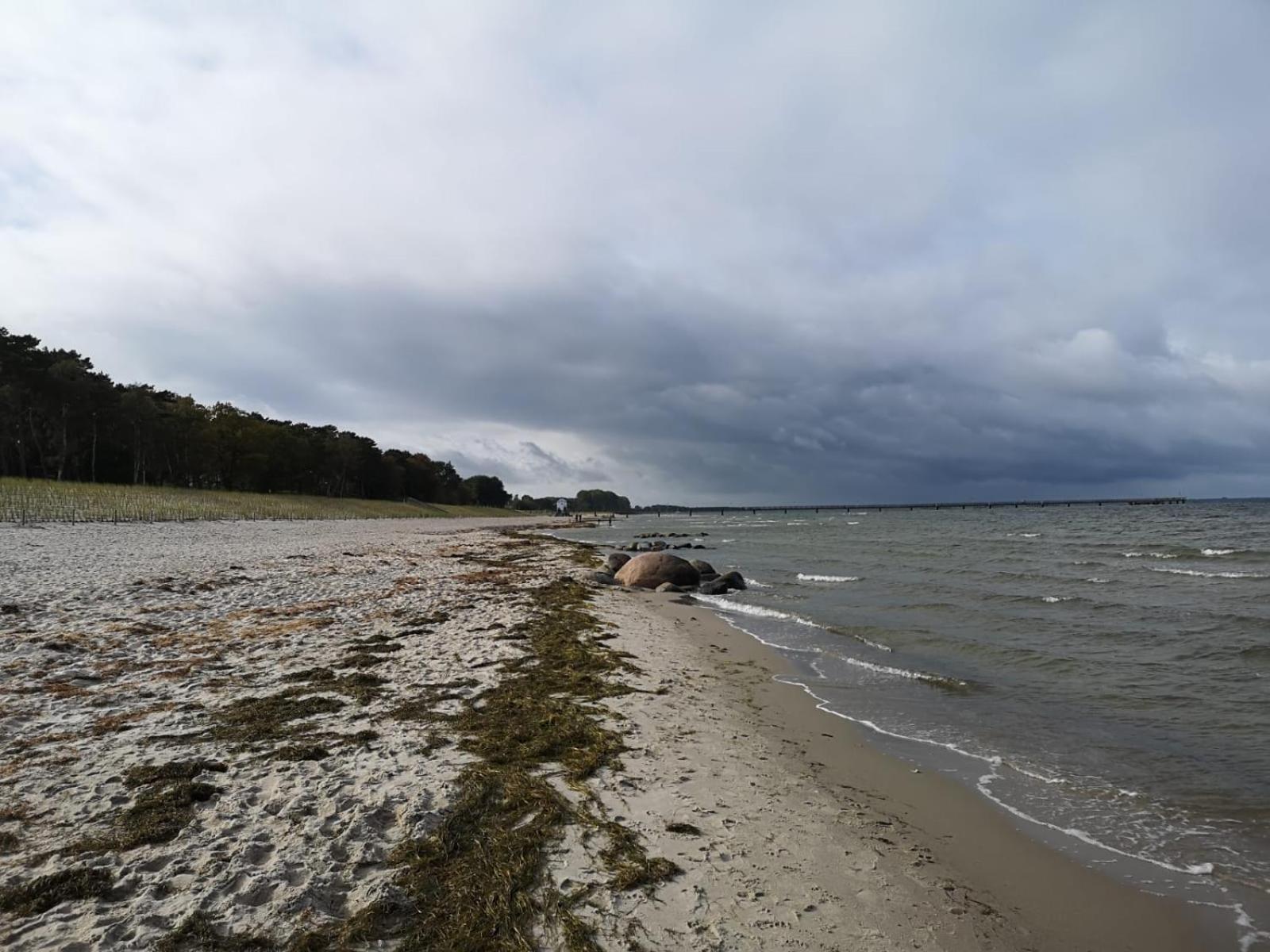 Ferienwohnungen "Weitblick" Und "Schwalbennest" Lodmannshagen Værelse billede