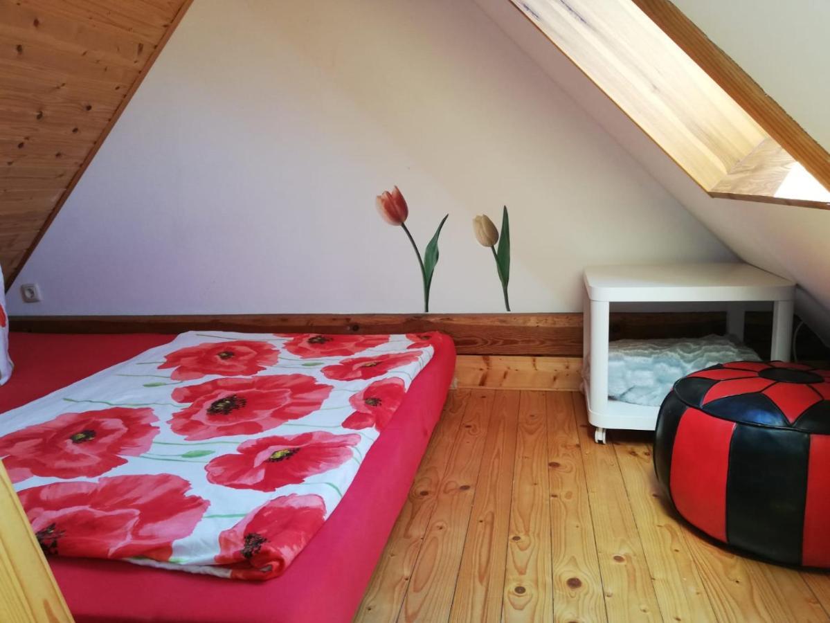 Ferienwohnungen "Weitblick" Und "Schwalbennest" Lodmannshagen Eksteriør billede