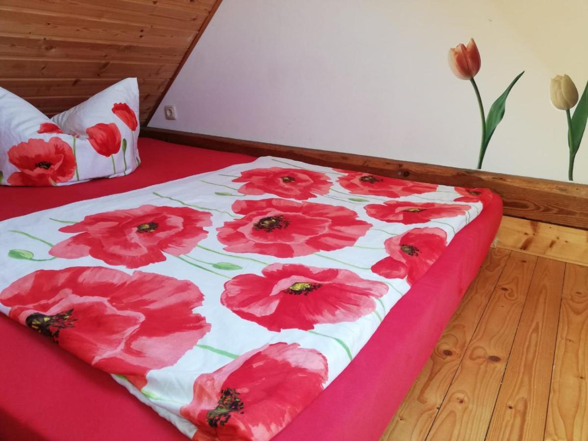 Ferienwohnungen "Weitblick" Und "Schwalbennest" Lodmannshagen Eksteriør billede